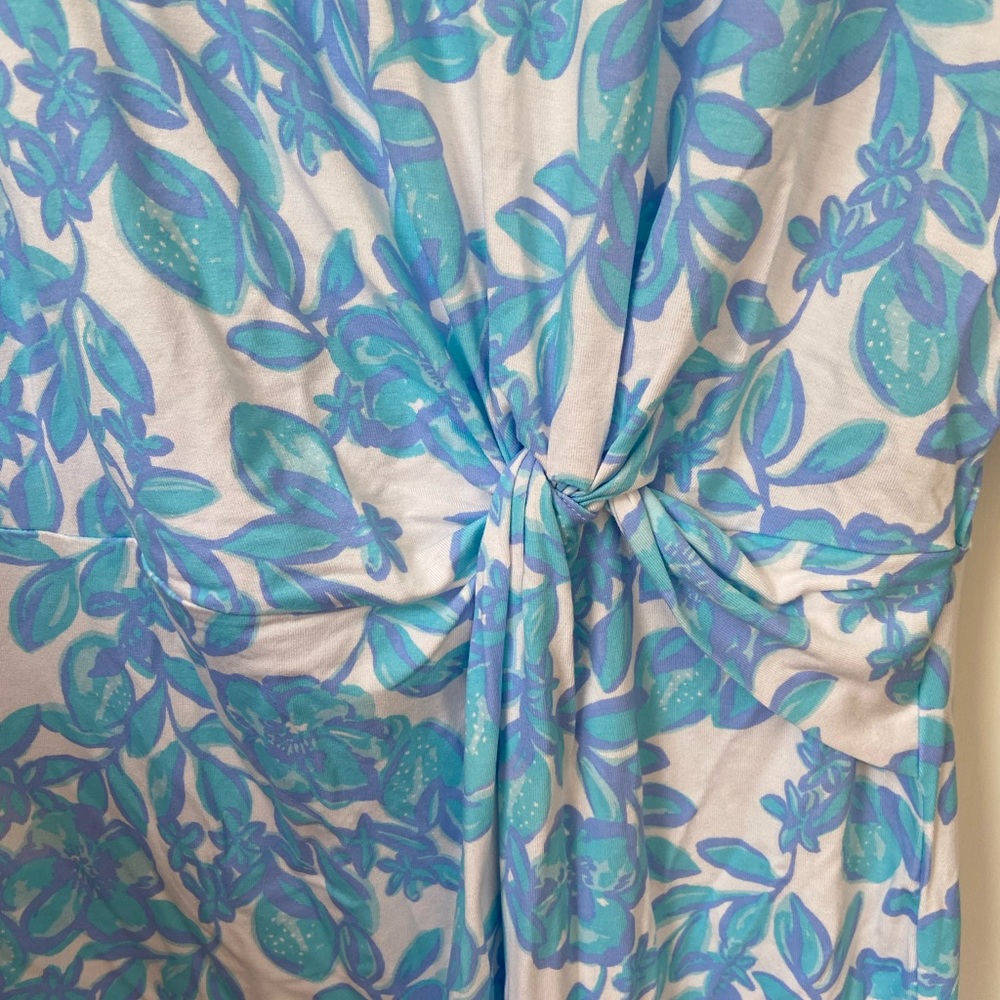 Lilly Pulitzer Blue and White Dress Size Large - Picture 3 of 3